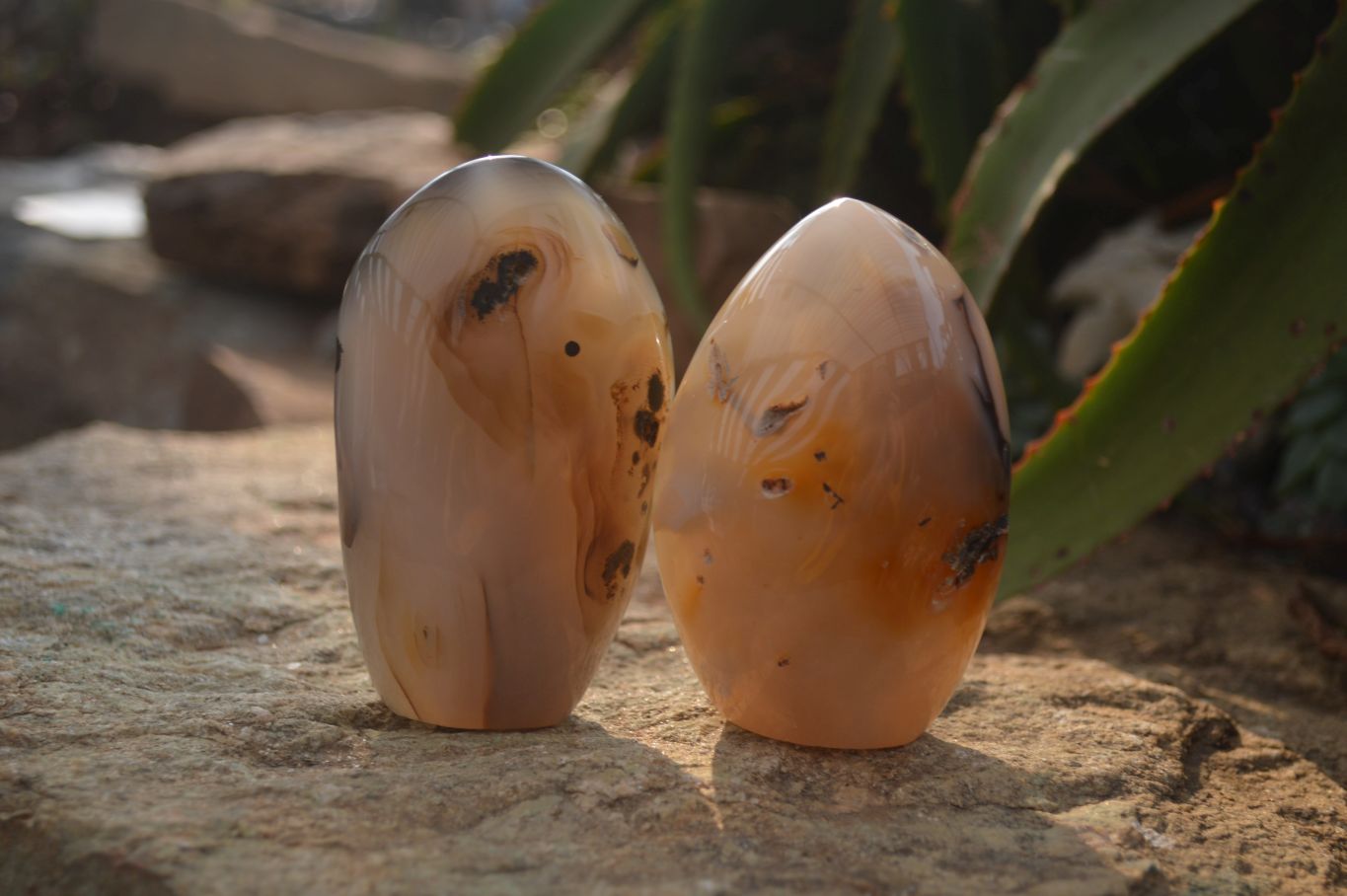 Polished Mixed Agate Standing Free Forms  x 4 From West Coast, Madagascar - Toprock Gemstones and Minerals 