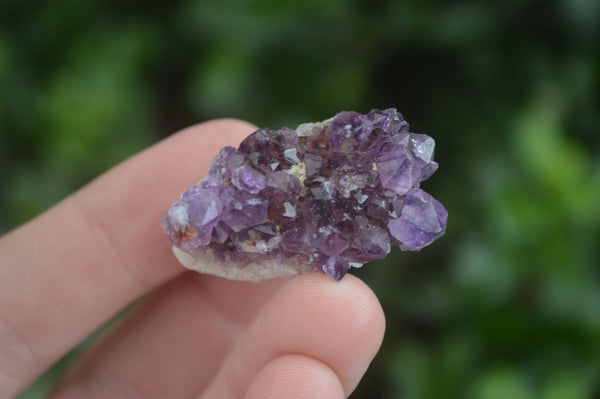 Natural Mixed Mini Spirit Quartz Crystals  x 70 From Boekenhouthoek, South Africa - Toprock Gemstones and Minerals 