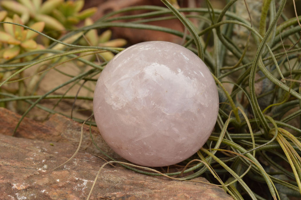 Polished Pink Rose Quartz Spheres  x 3 From Madagascar - TopRock