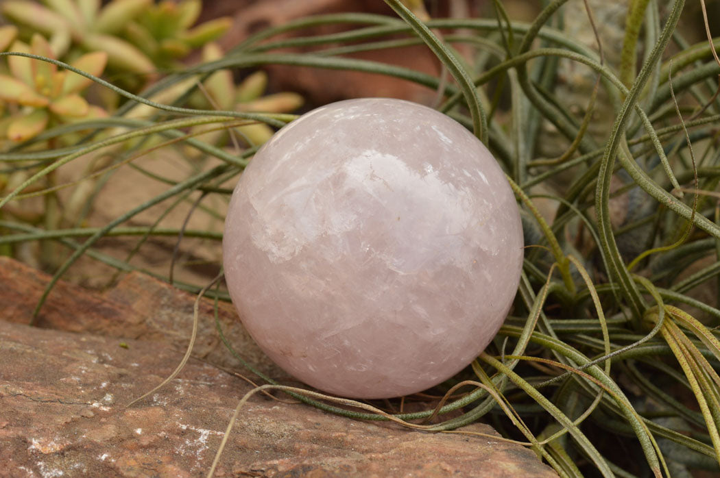 Polished Pink Rose Quartz Spheres  x 3 From Madagascar - TopRock