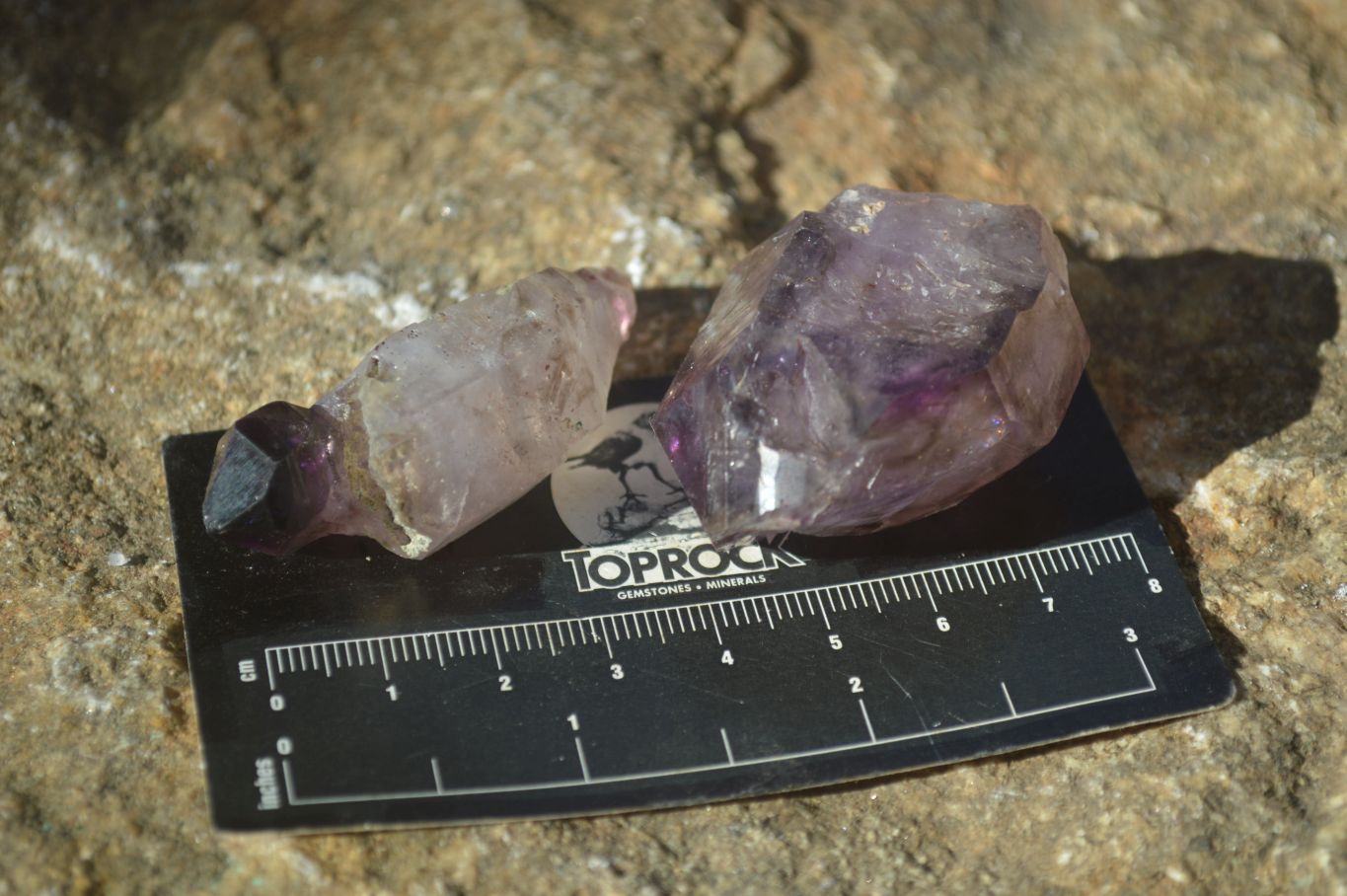 Natural Smokey Window Amethyst Crystals  x 12 From Chiredzi, Zimbabwe - Toprock Gemstones and Minerals 