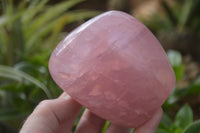 Polished Pink Rose Quartz Standing Free Forms x 2 From Ambatondrazaka, Madagascar - TopRock