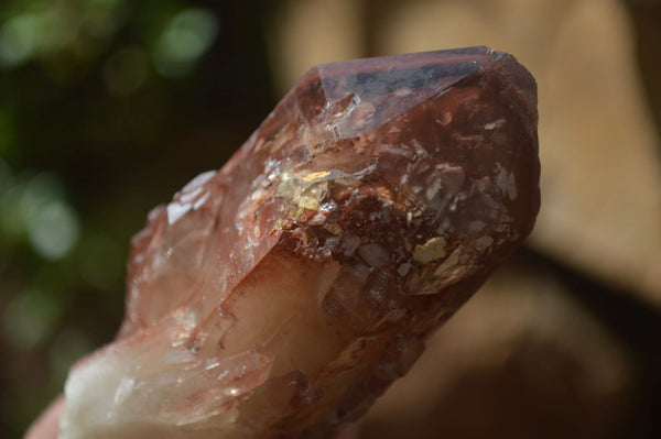 Natural Red Hematoid Quartz Specimens x 6 From Karoi, Zimbabwe - Toprock Gemstones and Minerals 