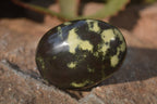 Polished Leopard Stone Palm Stones  x 12 From Zimbabwe - Toprock Gemstones and Minerals 
