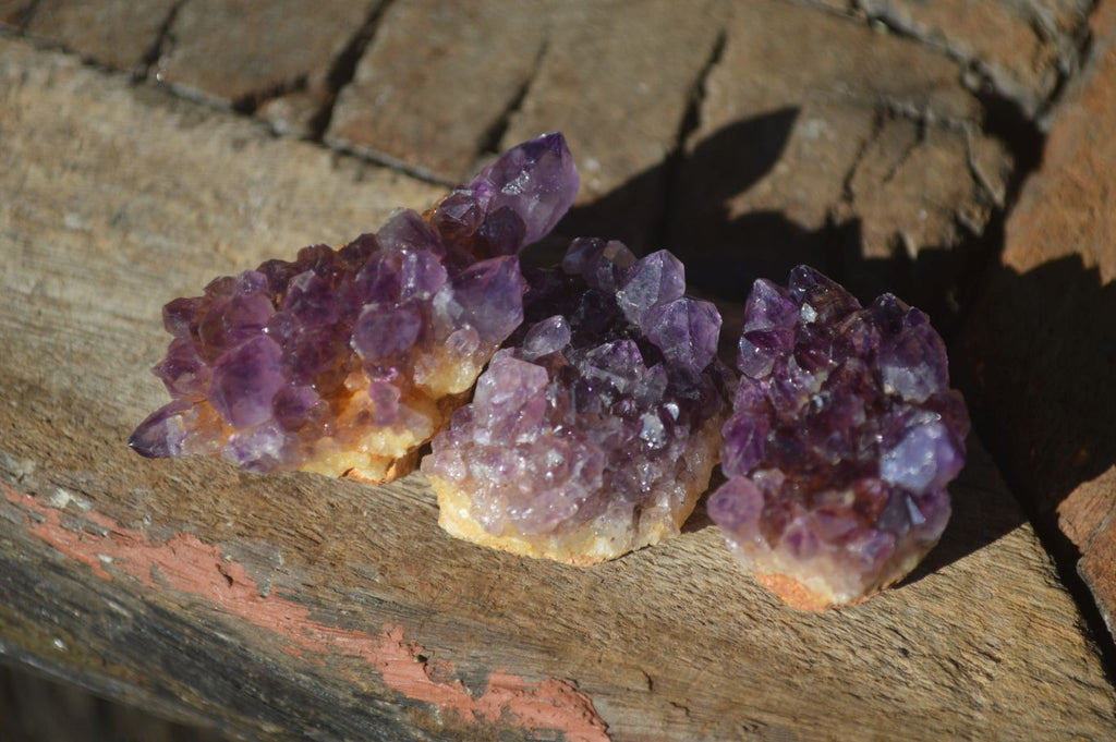 Natural Small Dark Amethyst Crystal Plates  x 70 From Mapatizya, Zambia - Toprock Gemstones and Minerals 