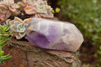 Polished Gemmy Dream Amethyst Points With Smokey Patterns  x 3 From Madagascar - TopRock