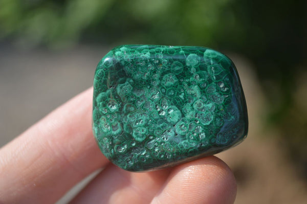 Polished Small Malachite Tumble Stones  x 20 From Congo - Toprock Gemstones and Minerals 