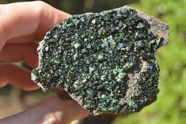 Natural Rare Copper Phosphate Libethenite On Dolomite Specimens x 6 From Shituru, Congo - TopRock