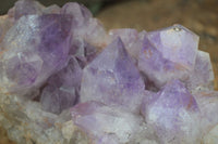 Natural Jacaranda Amethyst Cluster x 1 From Mumbwa, Zambia - TopRock