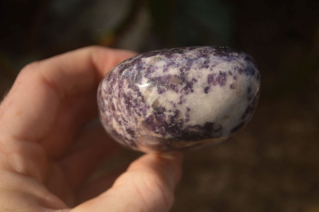 Polished  Lovely Purple Lepidolite Standing Free Forms  x 4 From Zimbabwe - Toprock Gemstones and Minerals 