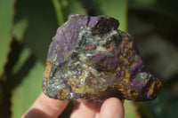 Natural Metallic Purpurite Cobbed Specimens x 12 From Erongo, Namibia - Toprock Gemstones and Minerals 