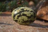 Polished Leopard Stone Palm Stones  x 12 From Zimbabwe - Toprock Gemstones and Minerals 