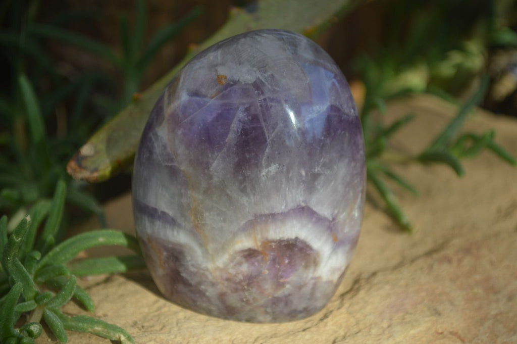 Polished Amethyst Standing Free Forms x 4 From Madagascar - Toprock Gemstones and Minerals 