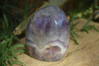 Polished Amethyst Standing Free Forms x 4 From Madagascar - Toprock Gemstones and Minerals 