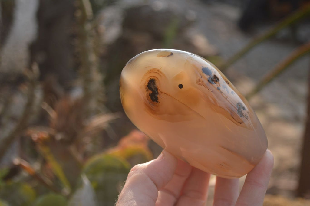 Polished Mixed Agate Standing Free Forms  x 4 From West Coast, Madagascar - Toprock Gemstones and Minerals 
