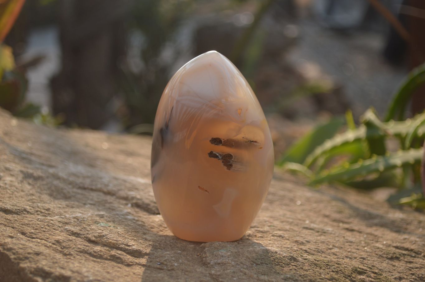 Polished Mixed Agate Standing Free Forms  x 4 From West Coast, Madagascar - Toprock Gemstones and Minerals 
