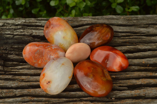 Polished Lovely Mixed Naturally Colourful Carnelian Gallets x 24 From Madagascar - TopRock