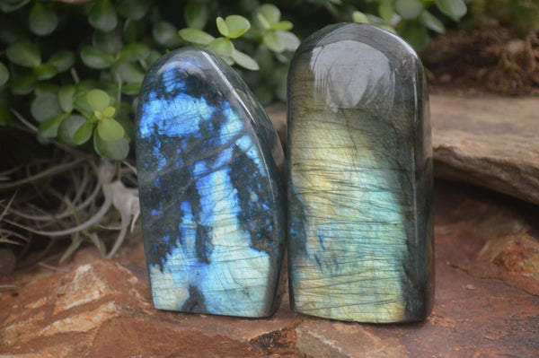 Polished Flashy Labradorite Standing Free Forms  x 3 From Madagascar - TopRock