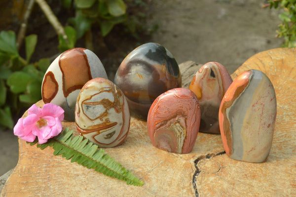 Polished Polychrome / Picasso Jasper Standing Free Forms x 6 From Madagascar - TopRock