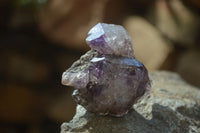 Natural Amethyst Crystals  x 6 From Chiredzi, Zimbabwe - Toprock Gemstones and Minerals 
