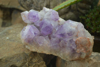 Natural Jacaranda Amethyst Cluster x 1 From Mumbwa, Zambia - TopRock