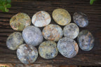 Polished Dendritic Opal Palm Stones  x 12 From Madagascar - Toprock Gemstones and Minerals 