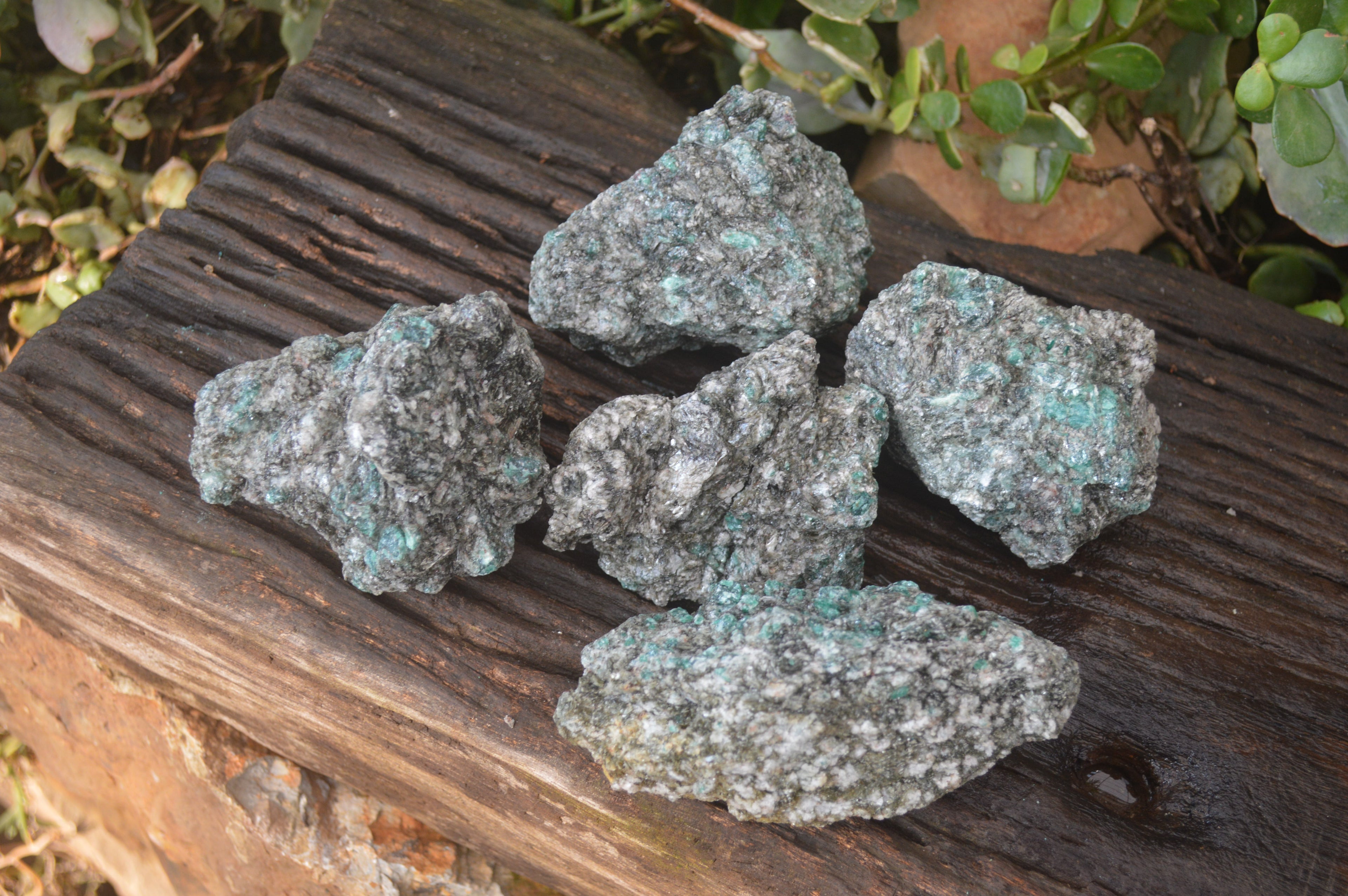 Natural Rare Emerald Mica In Matrix Cobbed Specimens x 5 From Mutoko, Zimbabwe - Toprock Gemstones and Minerals 