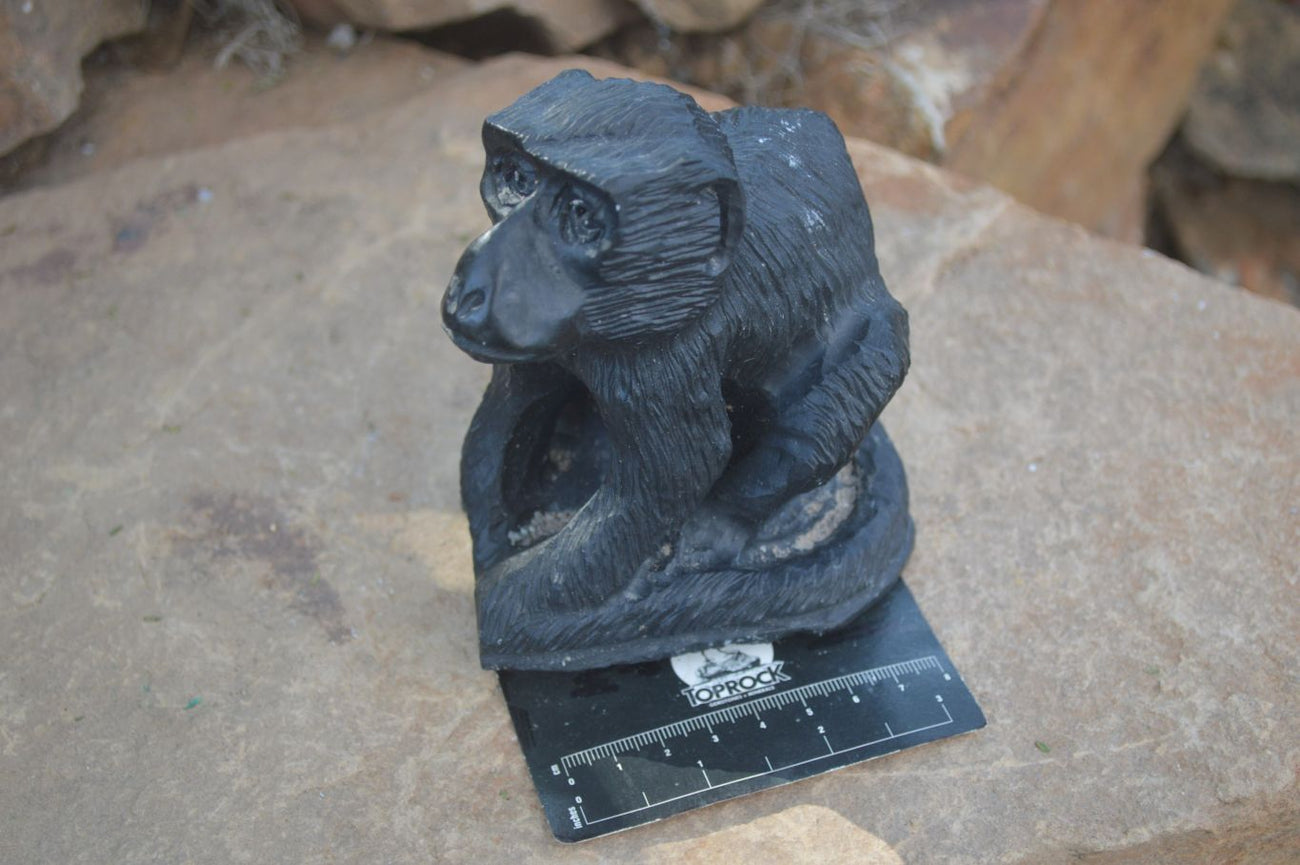 Polished Groovy Black Soapstone Baboon Carving x 1 From