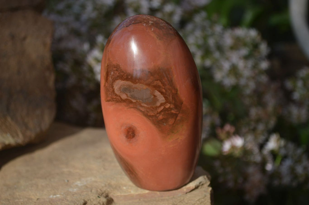 Polished Polychrome / Picasso Jasper Standing Free Forms  x 3 From Madagascar - Toprock Gemstones and Minerals 