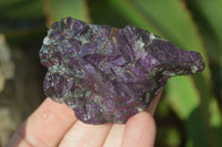 Natural Metallic Purpurite Cobbed Specimens x 12 From Erongo, Namibia - Toprock Gemstones and Minerals 