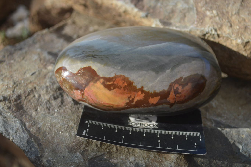Polished Polychrome / Picasso Jasper Standing Free Forms  x 3 From Madagascar - Toprock Gemstones and Minerals 