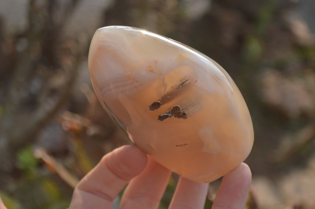 Polished Mixed Agate Standing Free Forms  x 4 From West Coast, Madagascar - Toprock Gemstones and Minerals 