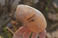 Polished Mixed Agate Standing Free Forms  x 4 From West Coast, Madagascar