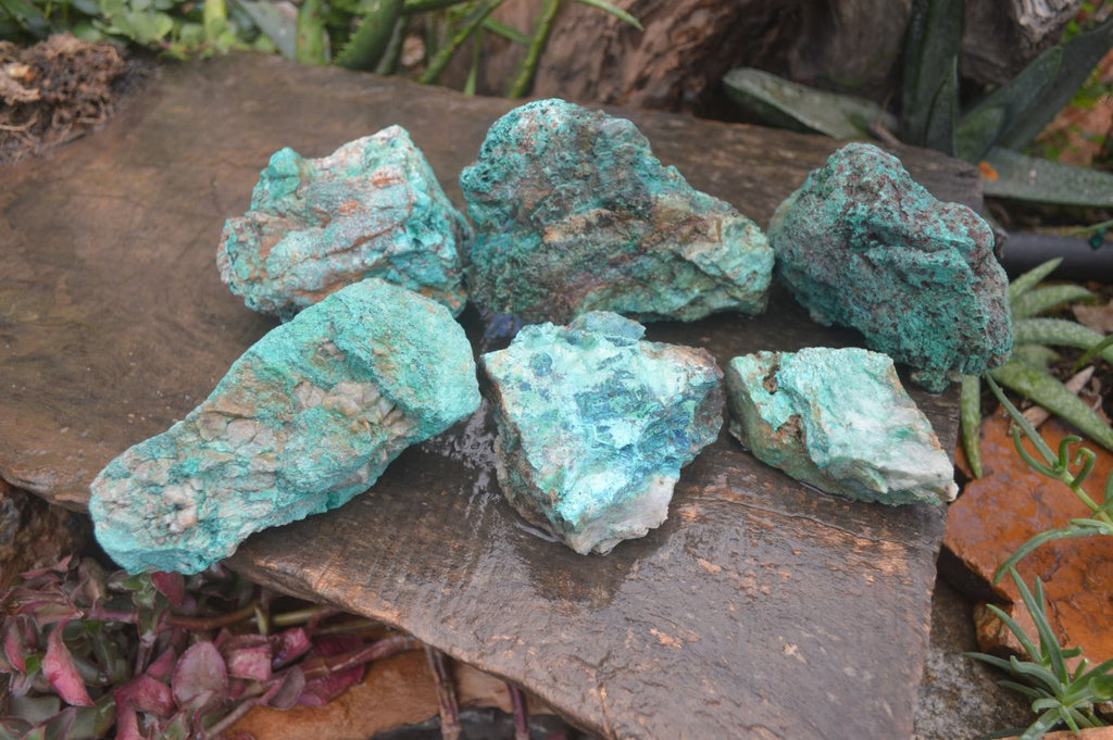 Natural Rough Chrysocolla Specimens  x 6 From Kaokoveld, Namibia - Toprock Gemstones and Minerals 