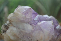 Natural Jacaranda Amethyst Cluster x 1 From Mumbwa, Zambia - TopRock