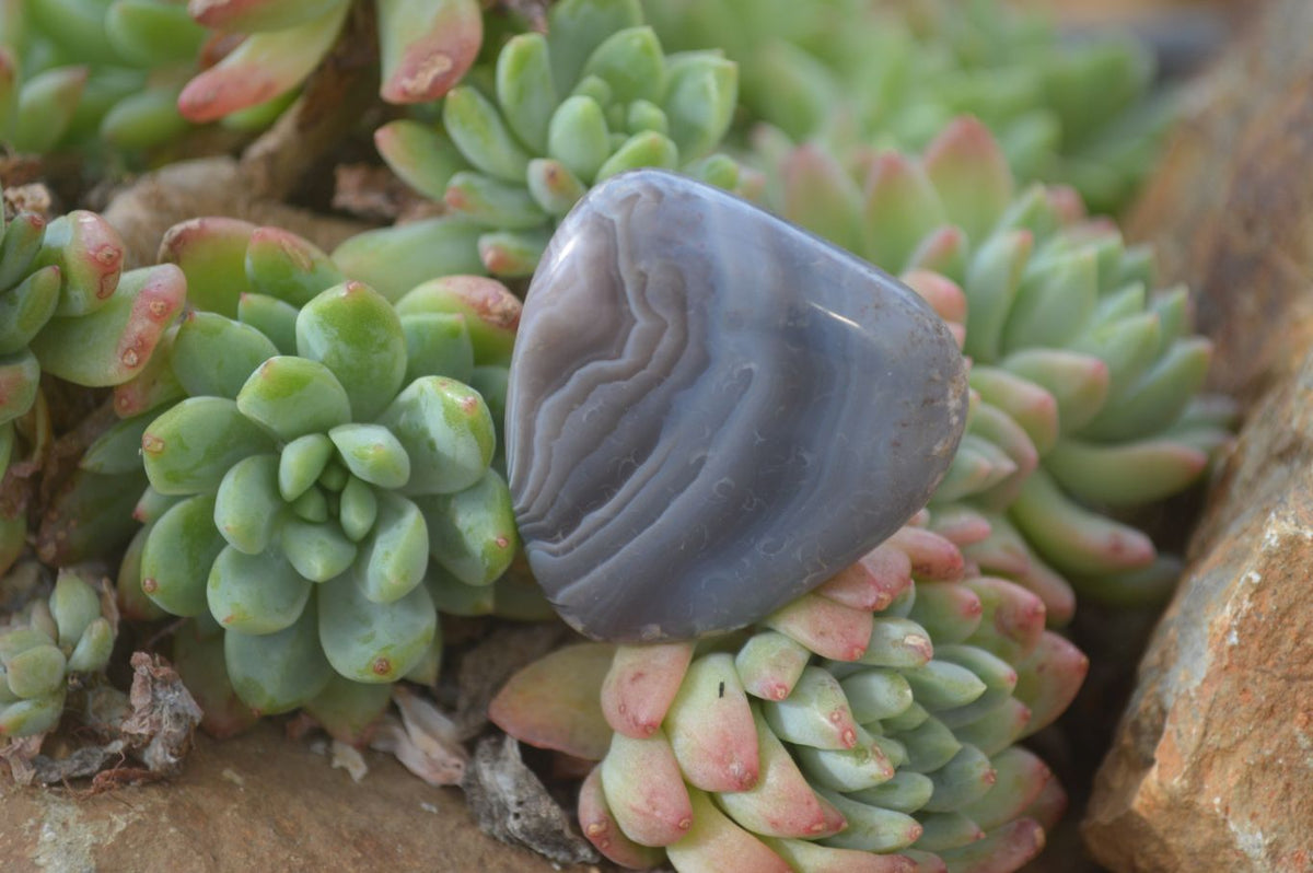 Polished Mixed Selection Of Galet / Palm Stones x 21 From South Africa - Toprock Gemstones and Minerals 