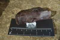 Natural Amethyst Crystals  x 6 From Chiredzi, Zimbabwe - Toprock Gemstones and Minerals 
