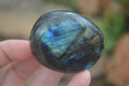 Polished Flashy Labradorite Palm Stones  x 14 From Tulear, Madagascar - Toprock Gemstones and Minerals 
