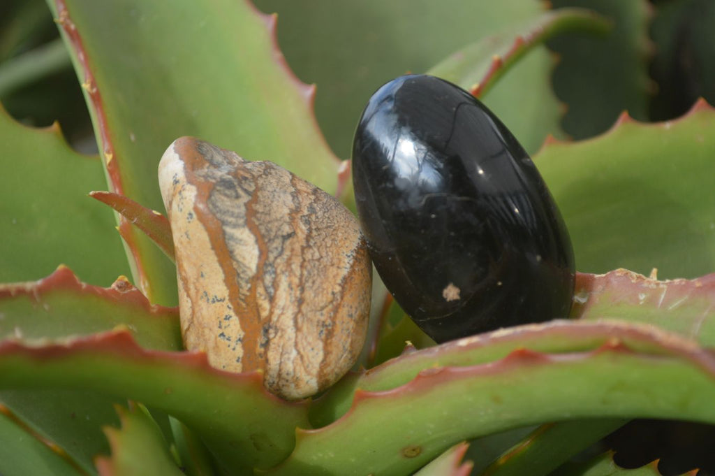 Polished Mixed Selection Of Galet / Palm Stones x 21 From South Africa - Toprock Gemstones and Minerals 