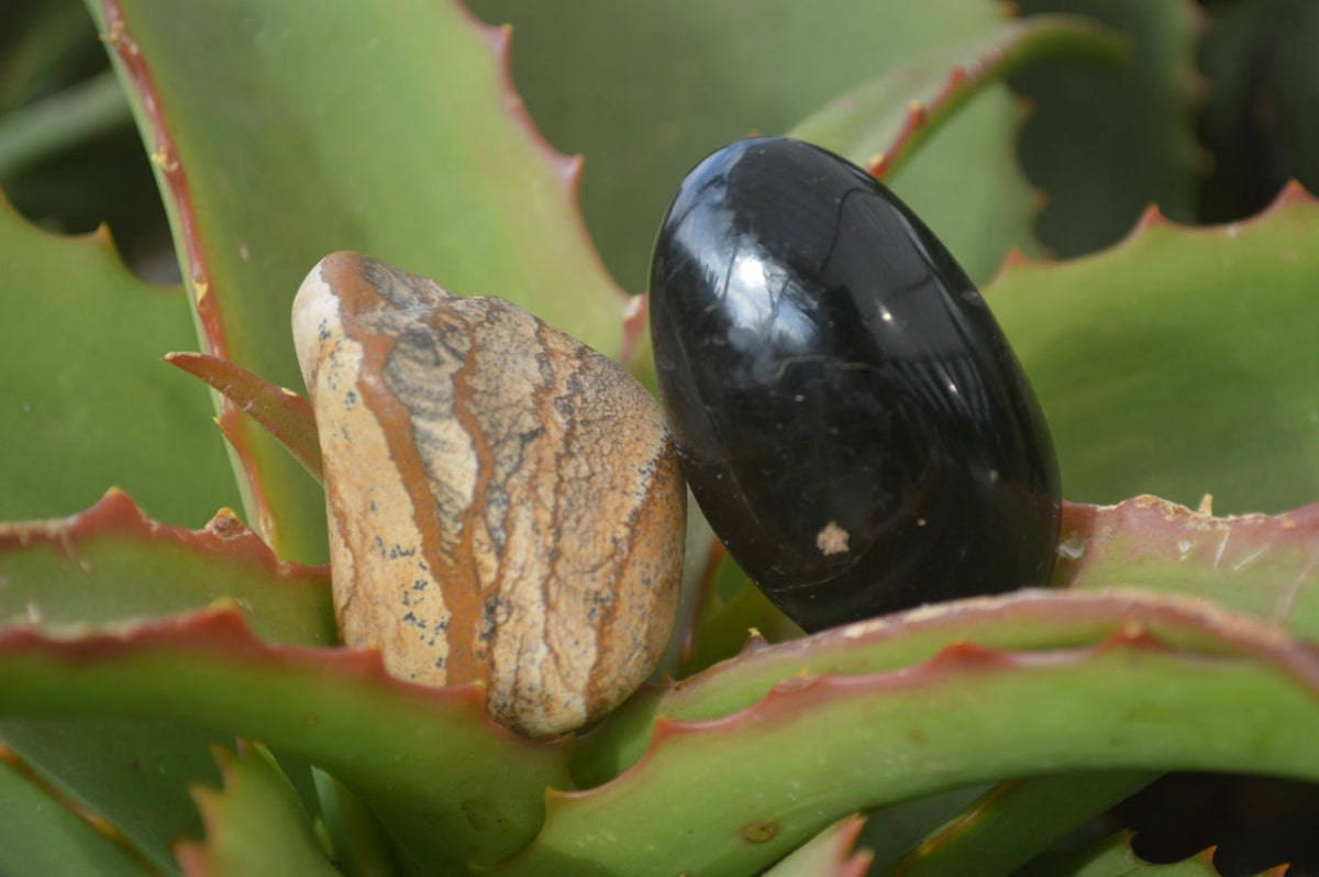 Polished Mixed Selection Of Galet / Palm Stones x 21 From South Africa - Toprock Gemstones and Minerals 