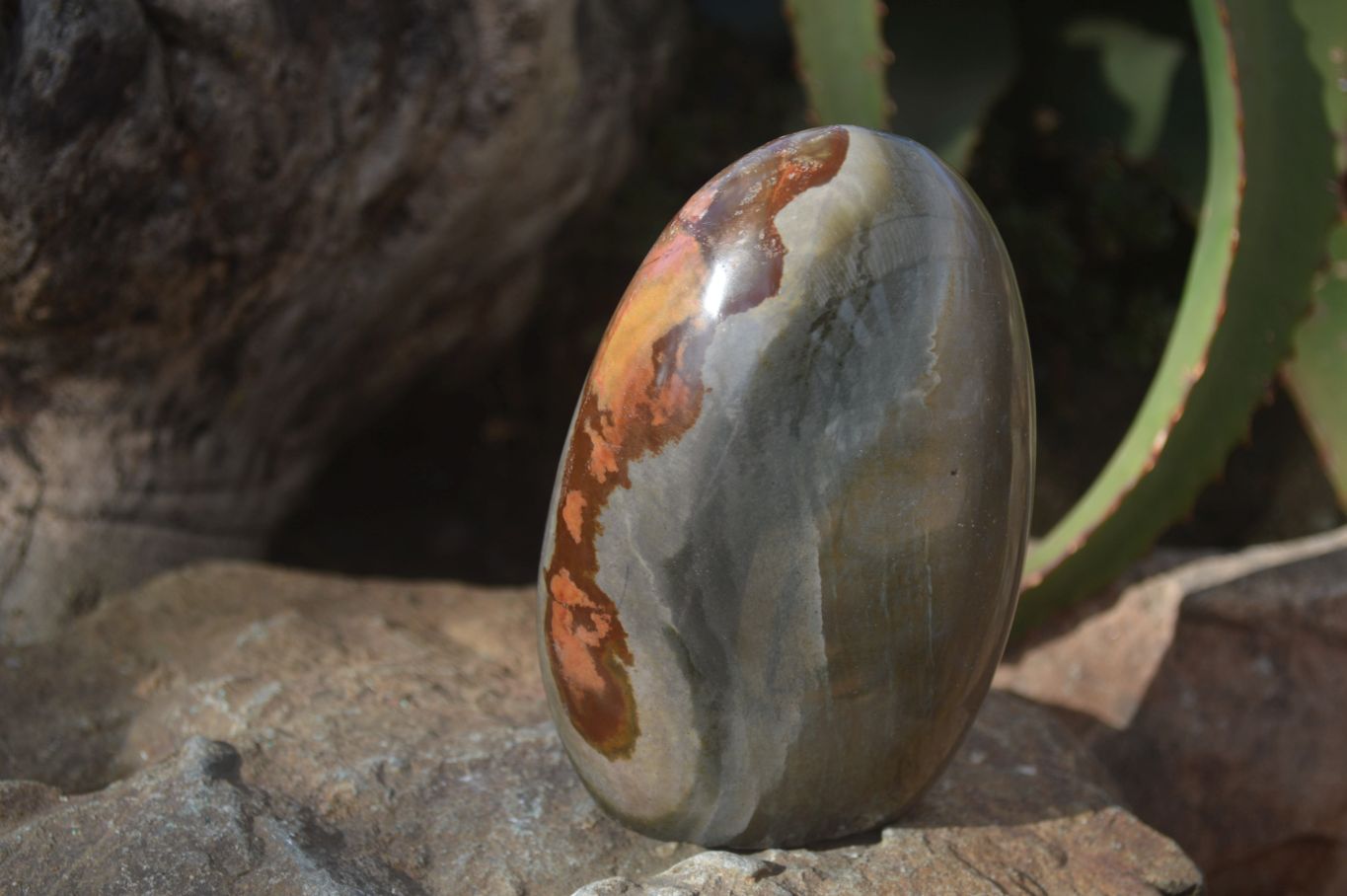Polished Polychrome / Picasso Jasper Standing Free Forms  x 3 From Madagascar - Toprock Gemstones and Minerals 