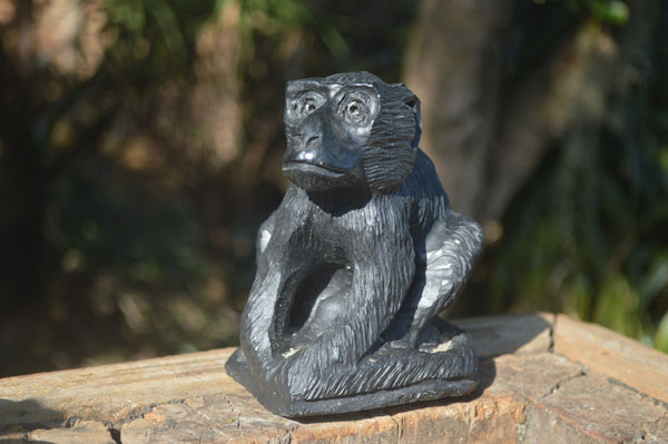 Polished Groovy Black Soap Stone Baboon Carving  x 1 From Zimbabwe - Toprock Gemstones and Minerals 