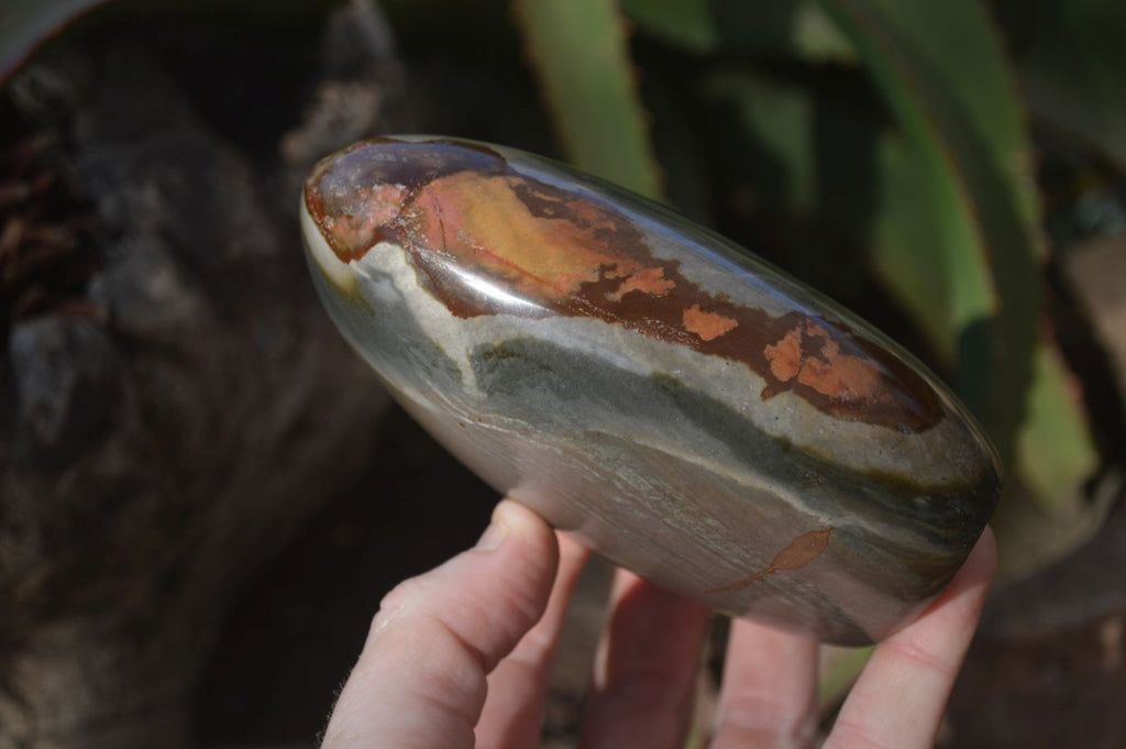 Polished Polychrome / Picasso Jasper Standing Free Forms  x 3 From Madagascar - Toprock Gemstones and Minerals 