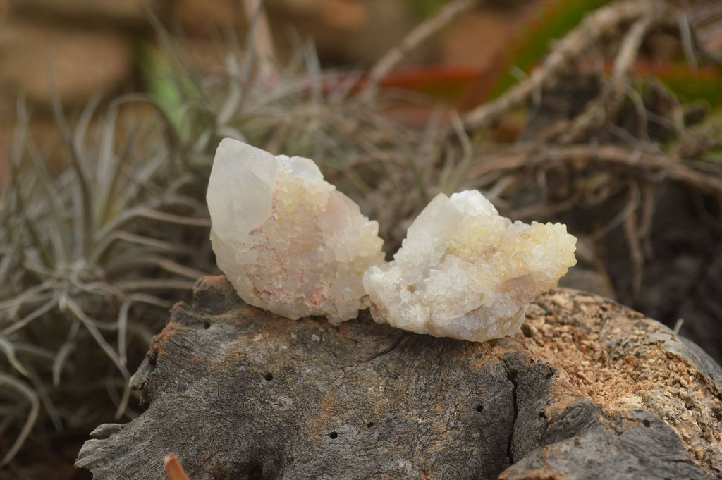 Natural Lovely Mixed Selection Of Spirit Quartz Crystals  x 35 From Boekenhouthoek, South Africa - TopRock