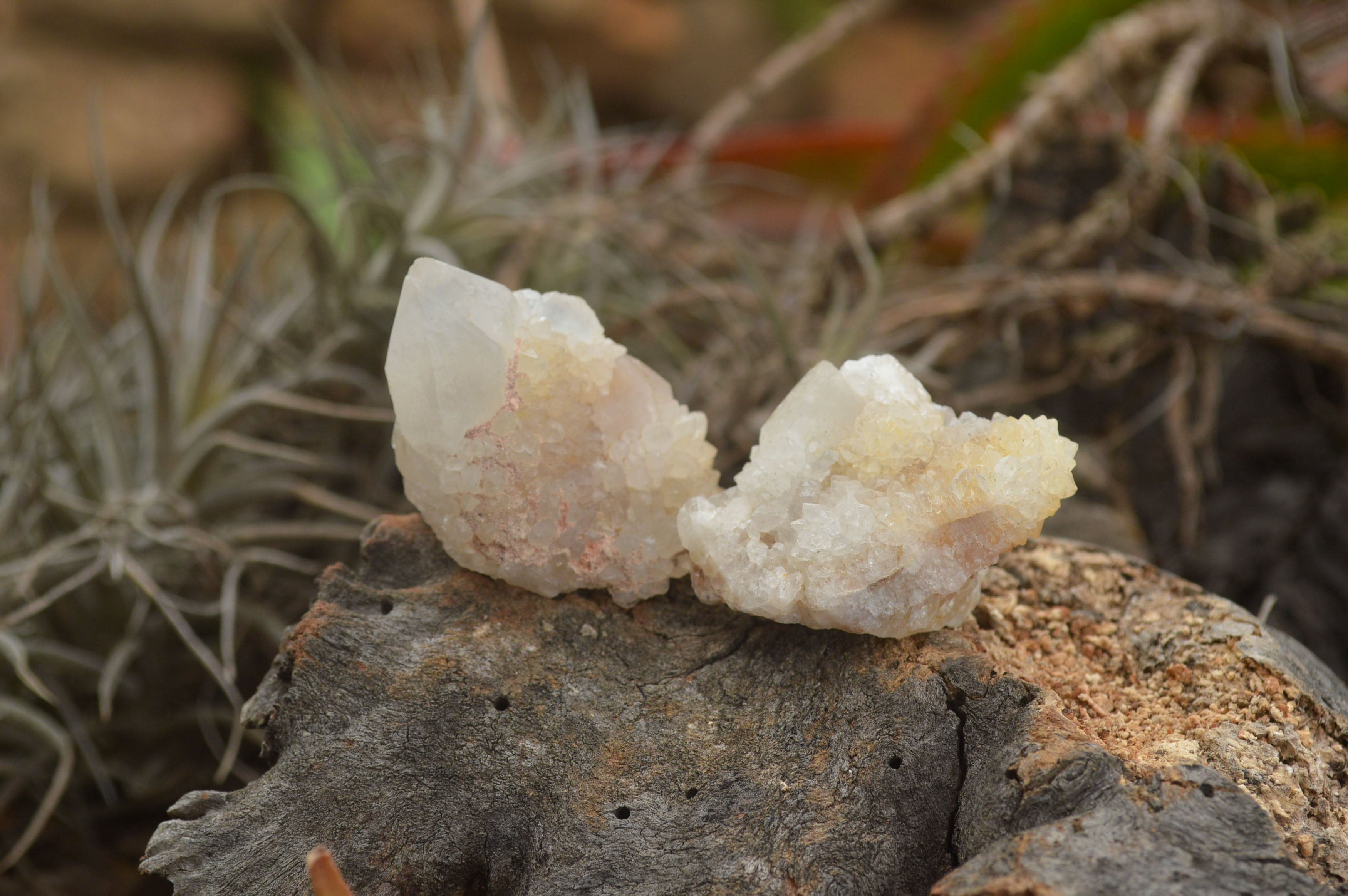Natural Lovely Mixed Selection Of Spirit Quartz Crystals  x 35 From Boekenhouthoek, South Africa - TopRock