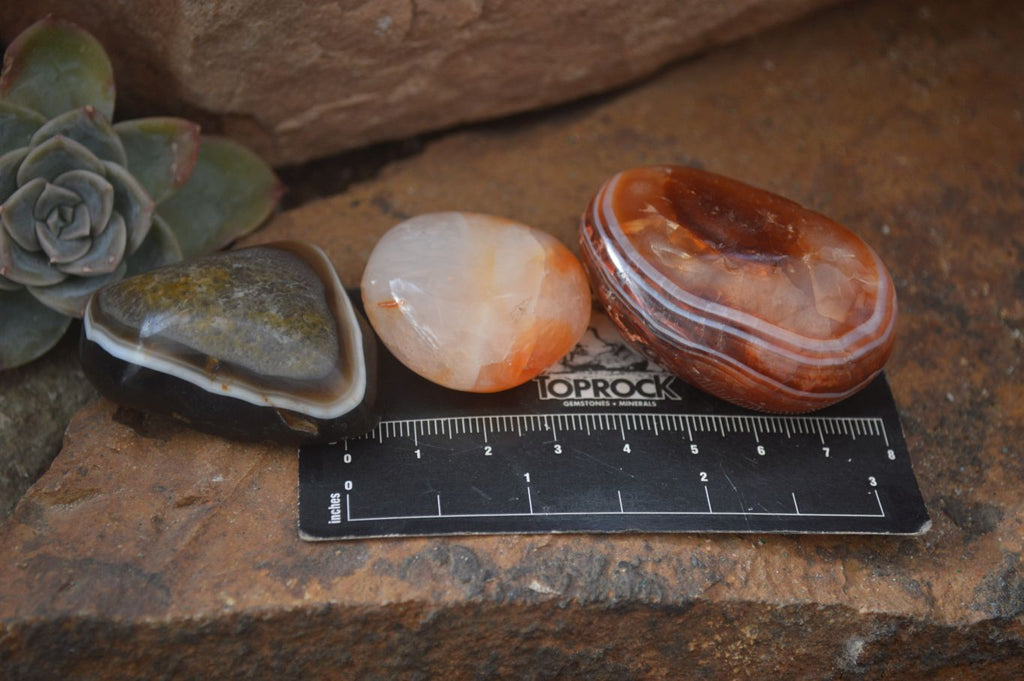 Polished Mixed Selection Of Galet / Palm Stones x 21 From South Africa - Toprock Gemstones and Minerals 