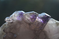 Natural Large Skeletal Smokey Amethyst Crystals  x 6 From Chiredzi, Zimbabwe - Toprock Gemstones and Minerals 