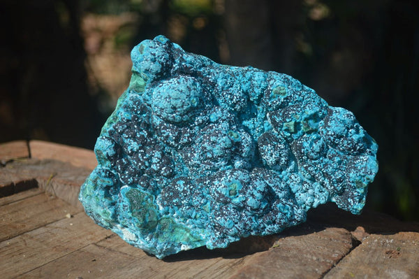 Natural Blue Chrysocolla On Silky Malachite Matrix With Black Heterogenite  x 1 From Kulukuluku, Congo - Toprock Gemstones and Minerals 