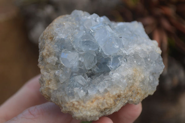 Natural Blue Celestite Crystal Plates  x 6 From Sakoany, Madagascar - Toprock Gemstones and Minerals 