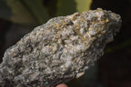 Natural Rare Emerald Mica In Matrix Cobbed Specimens x 5 From Mutoko, Zimbabwe - Toprock Gemstones and Minerals 